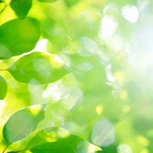 埼玉で庭造りをお考えでしたら安い当社にご連絡ください